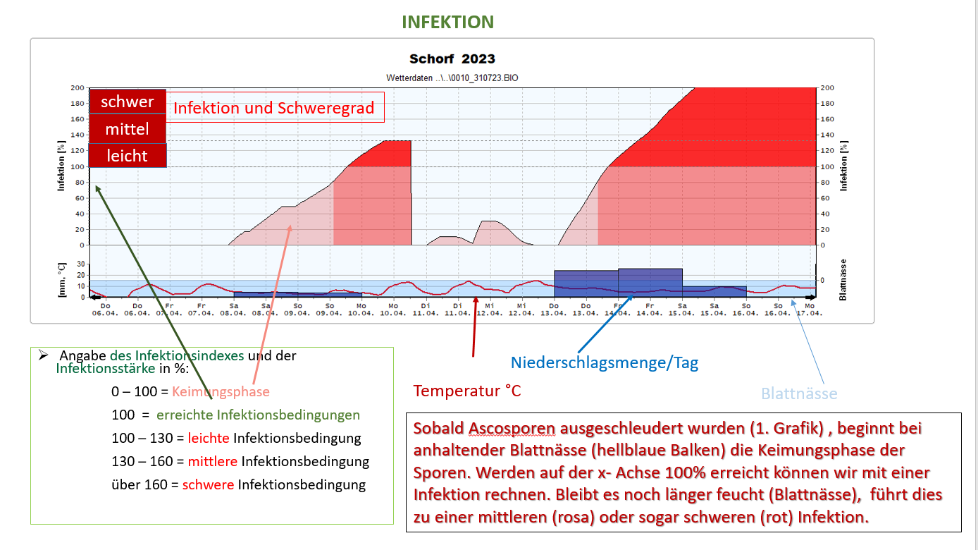 Grafik_Infektion_Neu_18_04_24.PNG